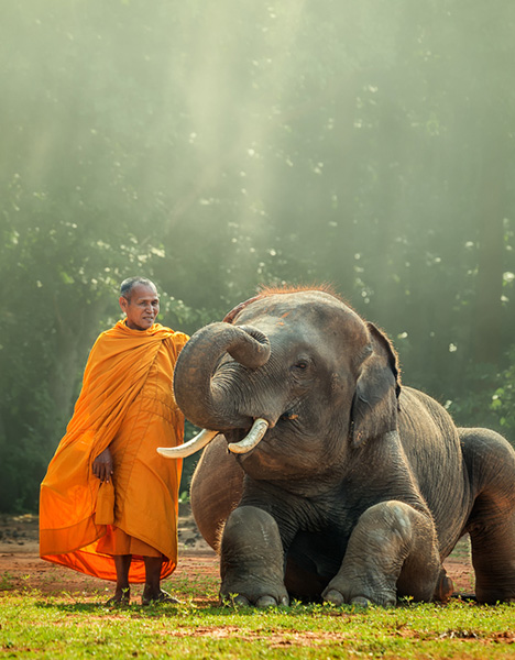 Laos Nature & Wildlife