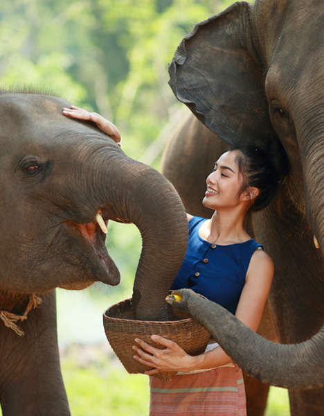 Thailand Nature & Wildlife