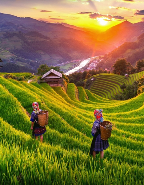 Vietnam Nature & Wildlife
