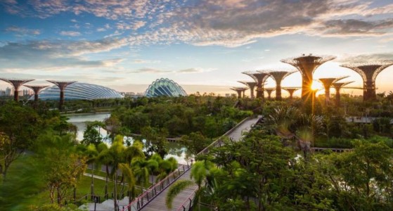 Gardens by the Bay