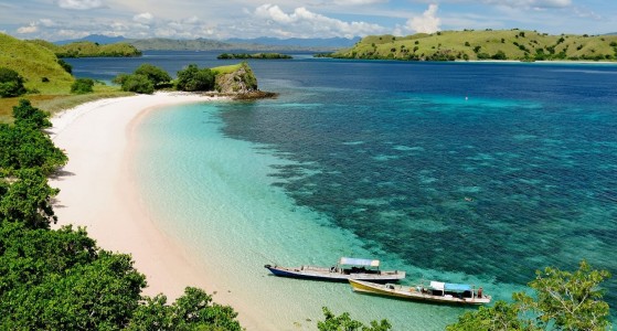 Halmahera
