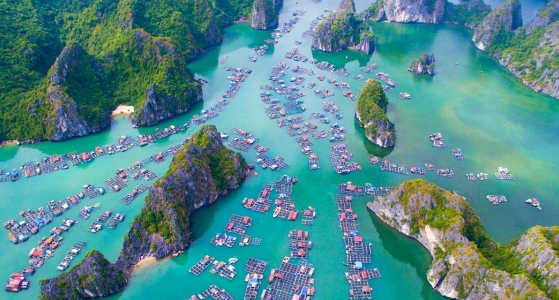 Halong Bay