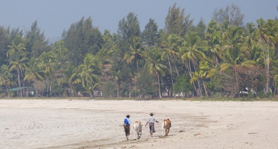 Kanthaya