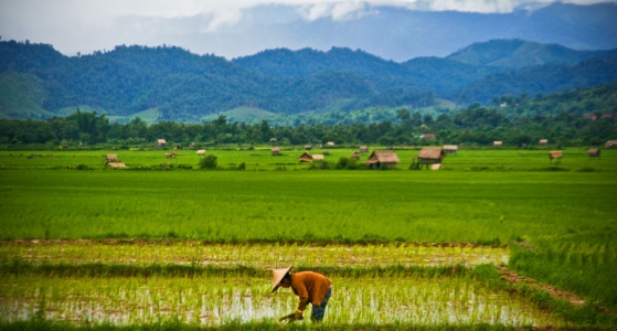 Luang Nam Tha