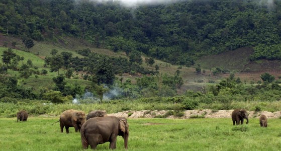 Mondulkiri