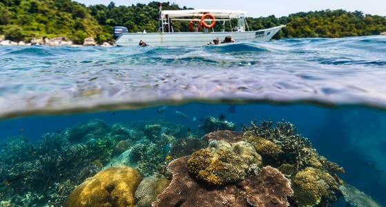 Pulau Tioman