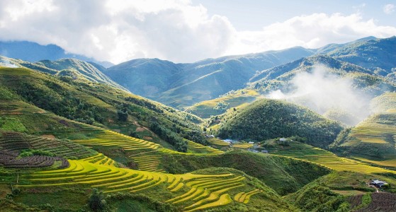 Sapa