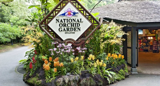 The National Orchid Garden