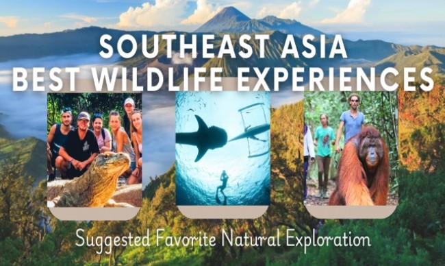 Awesome Wildlife Experiences You Should Not Miss in Southeast Asia