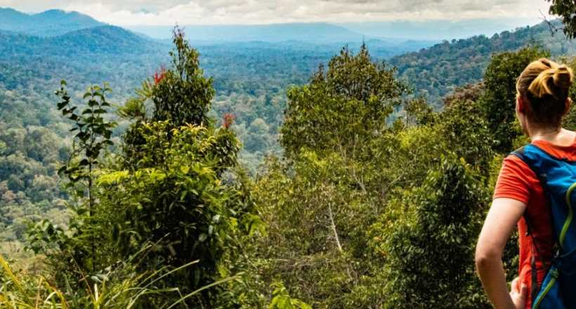 A fabulous adventure in Malaysia, from the cities to the highlands and jungles