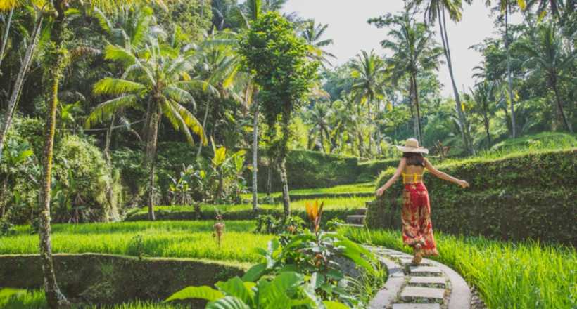 Bali and Komodo Discovery