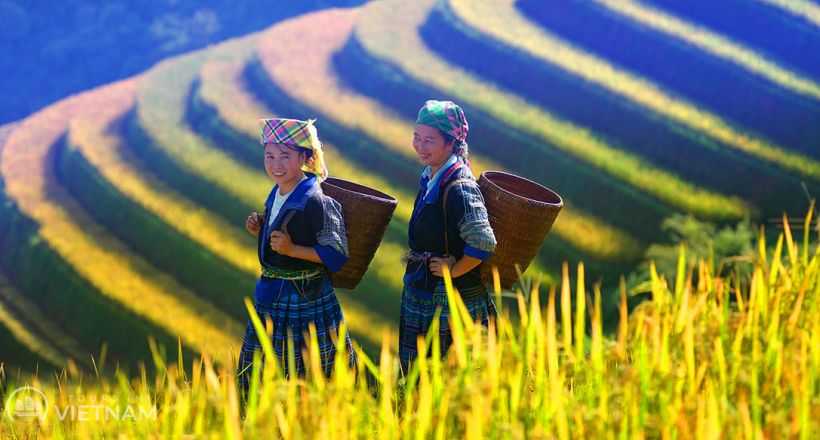 Unveiling the hidden gems of Northwest Vietnam