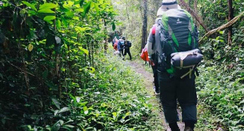 Discover The Wildlife in Nam Cat Tien National Park