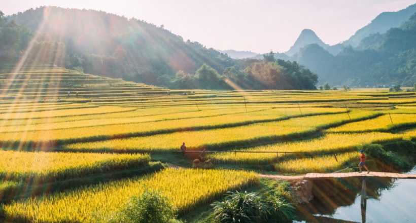 Explore the Northern mountainous regions of Vietnam