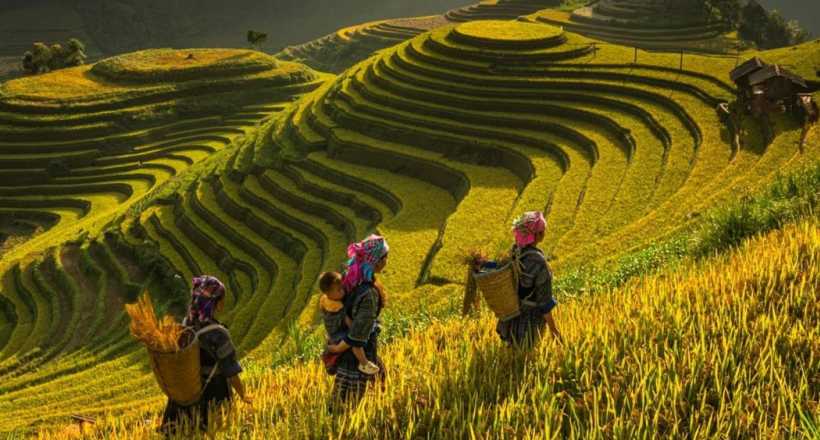 Highlights Of Northern Vietnam