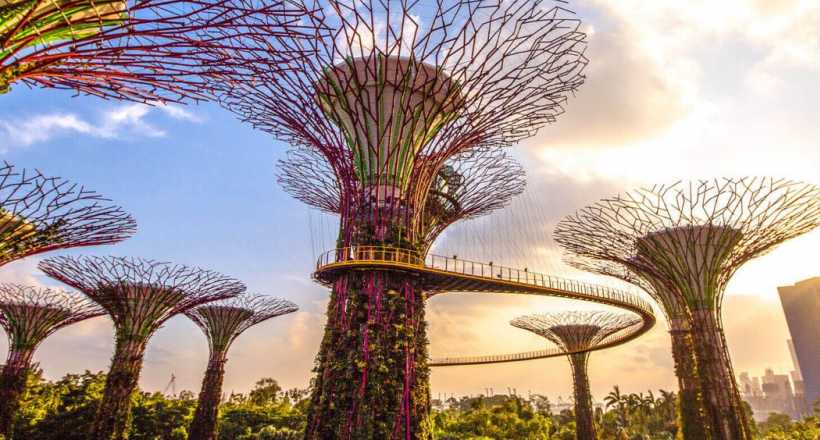 Layover in Singapore