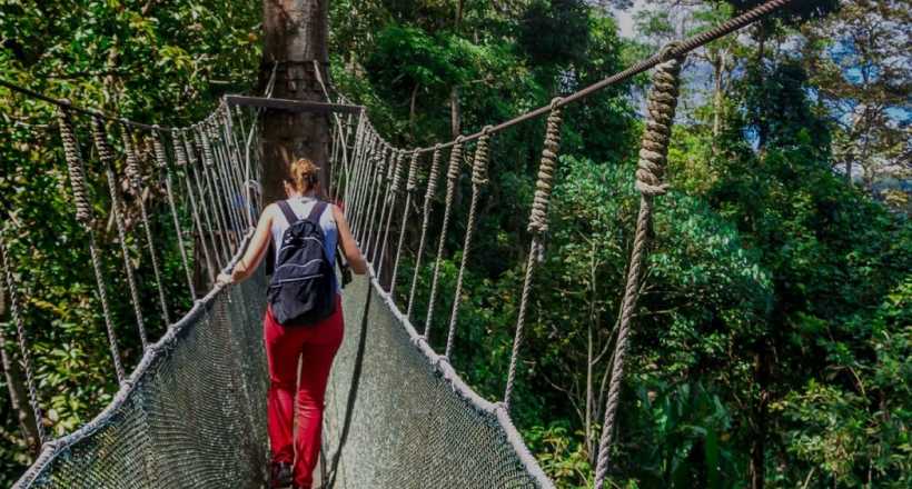 Malaysia Ultimate Adventure from West to East