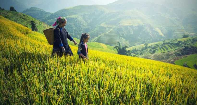 Northern Vietnam Adventure