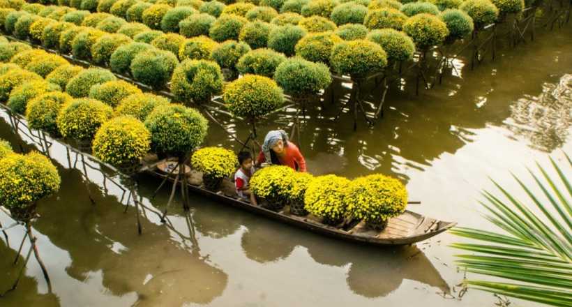 Excursion to the Mekong Delta