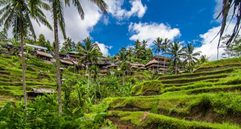 Vietnam Cambodia Thailand Malaysia Indonesia Tour Package